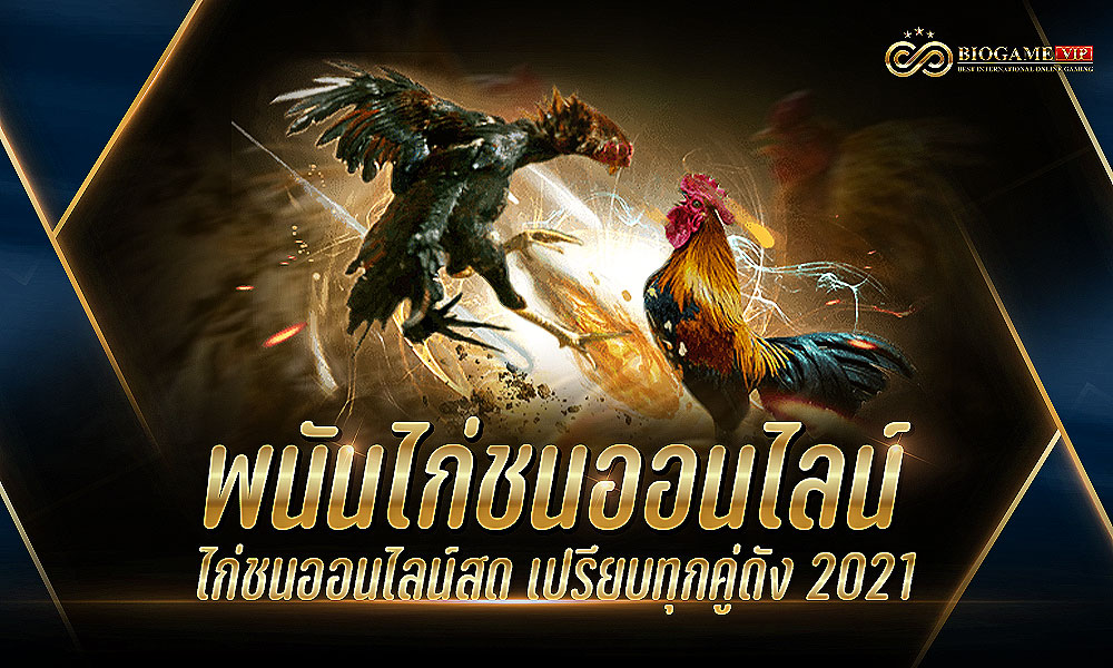 พนันไก่ชนออนไลน์ ไก่ชนออนไลน์สด เปรียบทุกคู่ดัง 2021