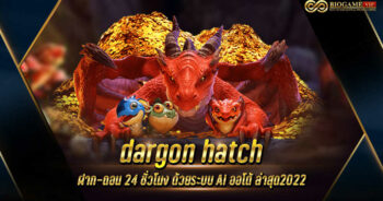 dargon hatch