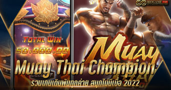 Muay Thai Champion