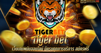 tiger bet